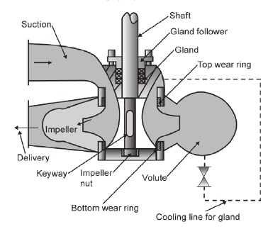 Sketch of centrifugal pump